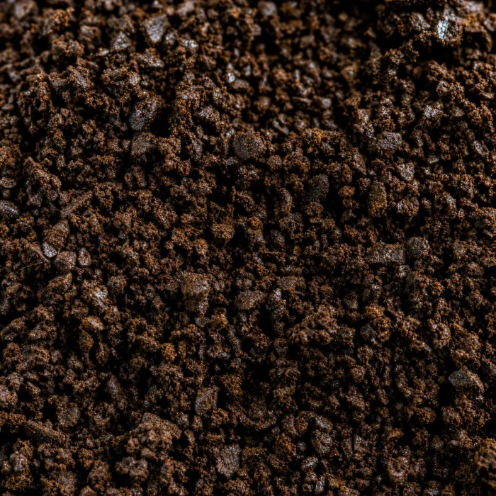 Macro del caffè macinato: la polvere mostra un riflesso oleoso in superficie